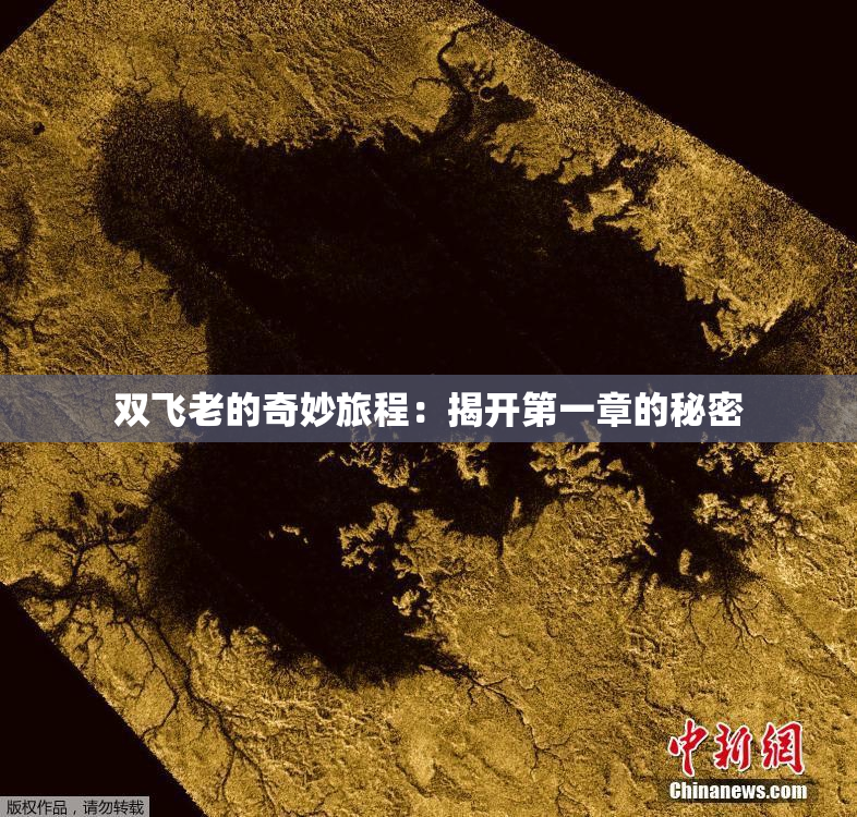 双飞老的奇妙旅程：揭开第一章的秘密