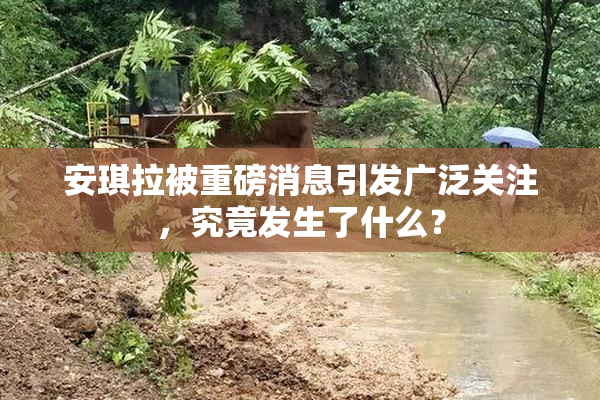安琪拉被重磅消息引发广泛关注，究竟发生了什么？