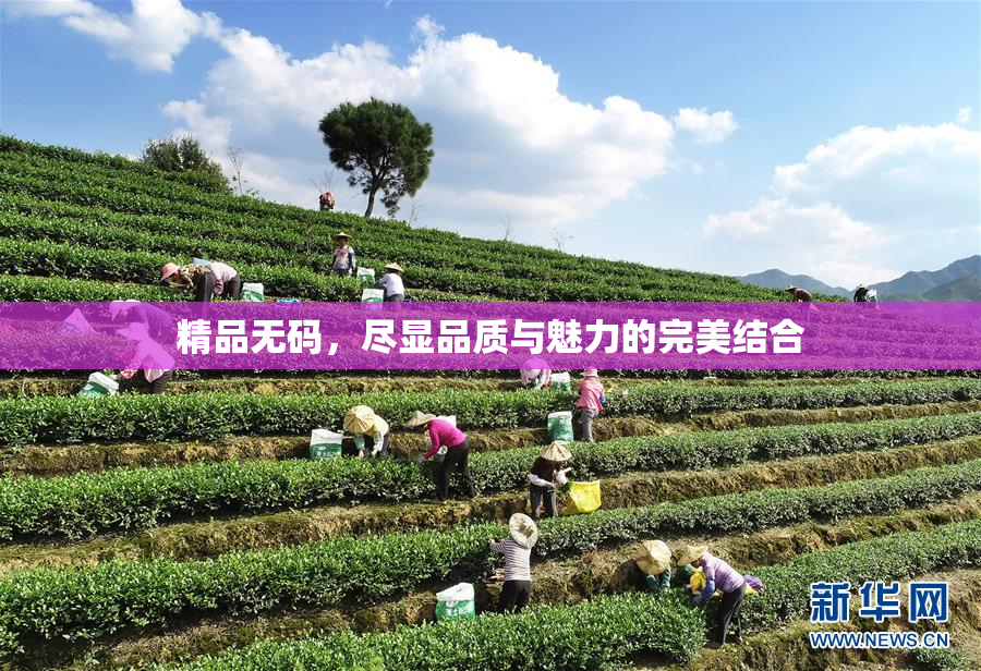 精品无码，尽显品质与魅力的完美结合