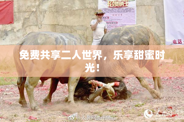 免费共享二人世界，乐享甜蜜时光！