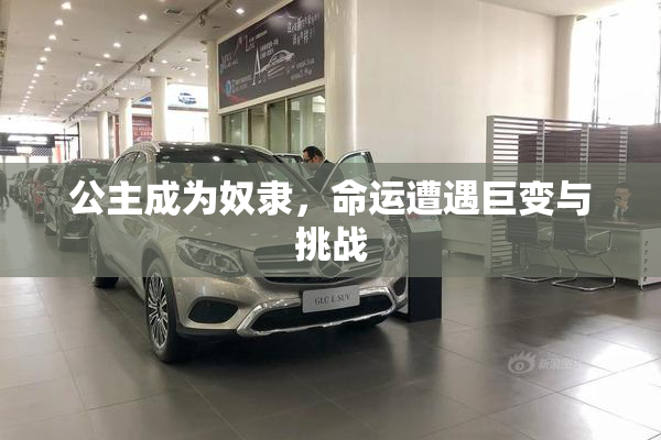 公主成为奴隶，命运遭遇巨变与挑战