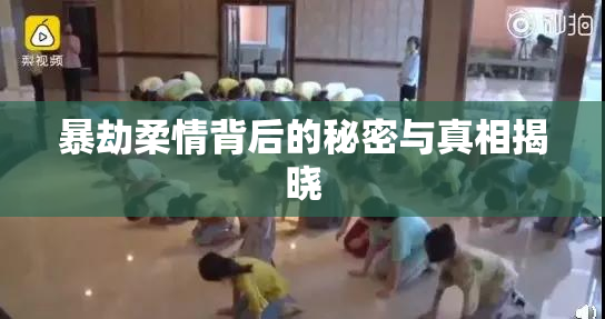 暴劫柔情背后的秘密与真相揭晓