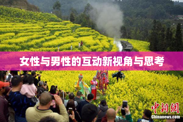 女性与男性的互动新视角与思考