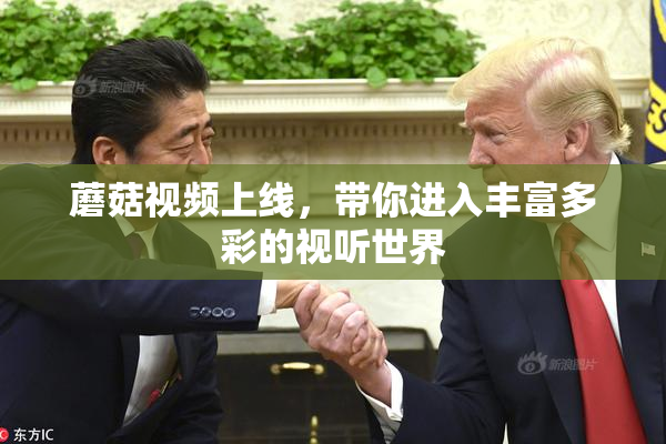 蘑菇视频上线，带你进入丰富多彩的视听世界