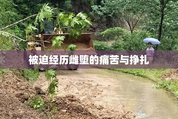 被迫经历雌堕的痛苦与挣扎