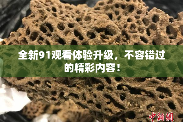 全新91观看体验升级，不容错过的精彩内容！