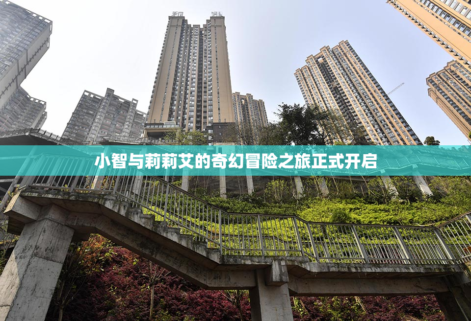 小智与莉莉艾的奇幻冒险之旅正式开启