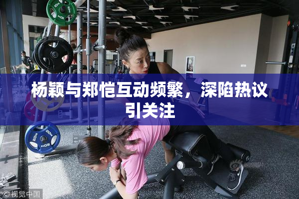杨颖与郑恺互动频繁，深陷热议引关注