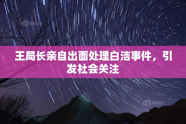 王局长亲自出面处理白洁事件，引发社会关注