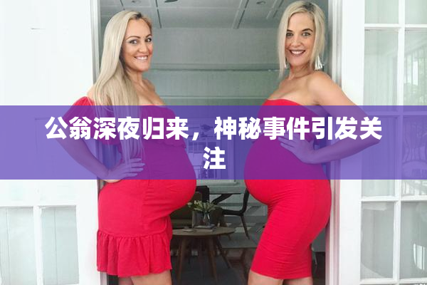 公翁深夜归来，神秘事件引发关注