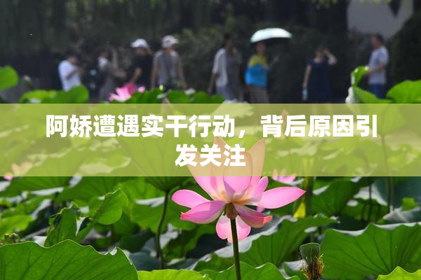 阿娇遭遇实干行动，背后原因引发关注