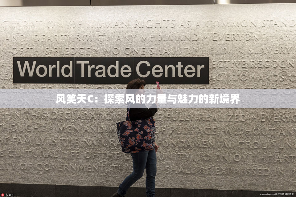 风笑天C：探索风的力量与魅力的新境界