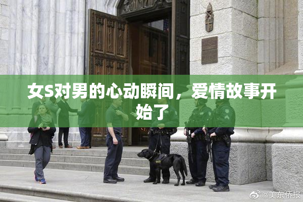 女S对男的心动瞬间，爱情故事开始了