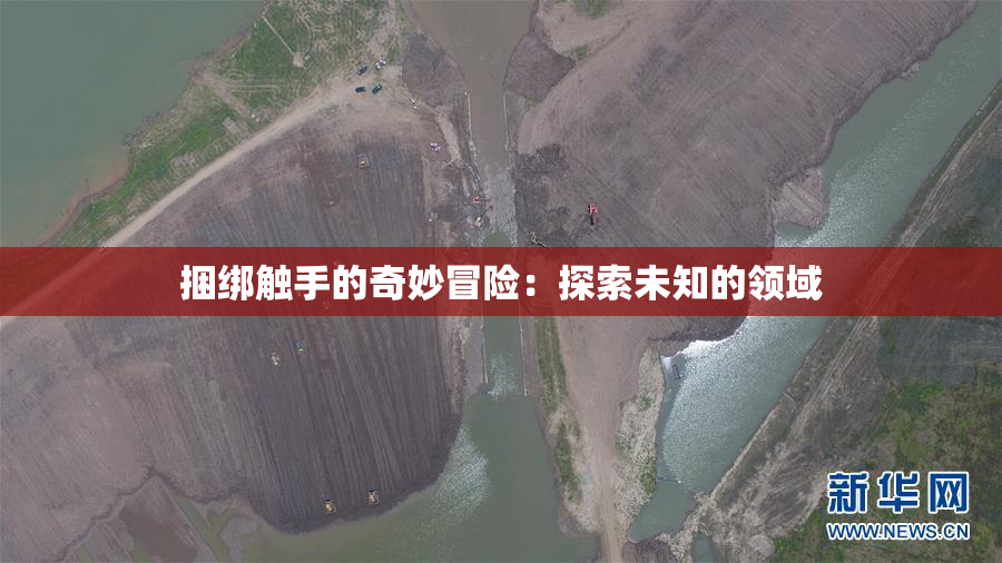 捆绑触手的奇妙冒险：探索未知的领域