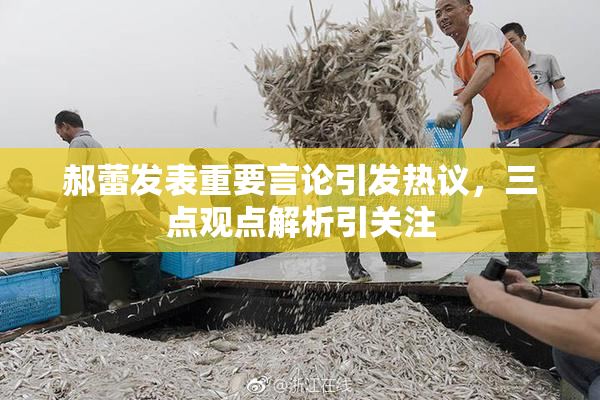 郝蕾发表重要言论引发热议，三点观点解析引关注