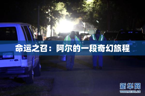 命运之召：阿尔的一段奇幻旅程