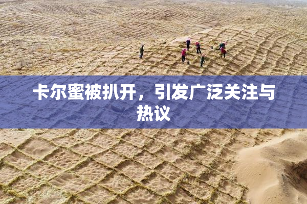 卡尔蜜被扒开，引发广泛关注与热议