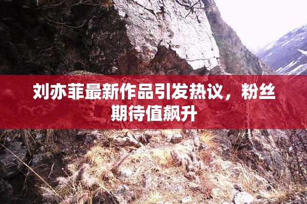 刘亦菲最新作品引发热议，粉丝期待值飙升