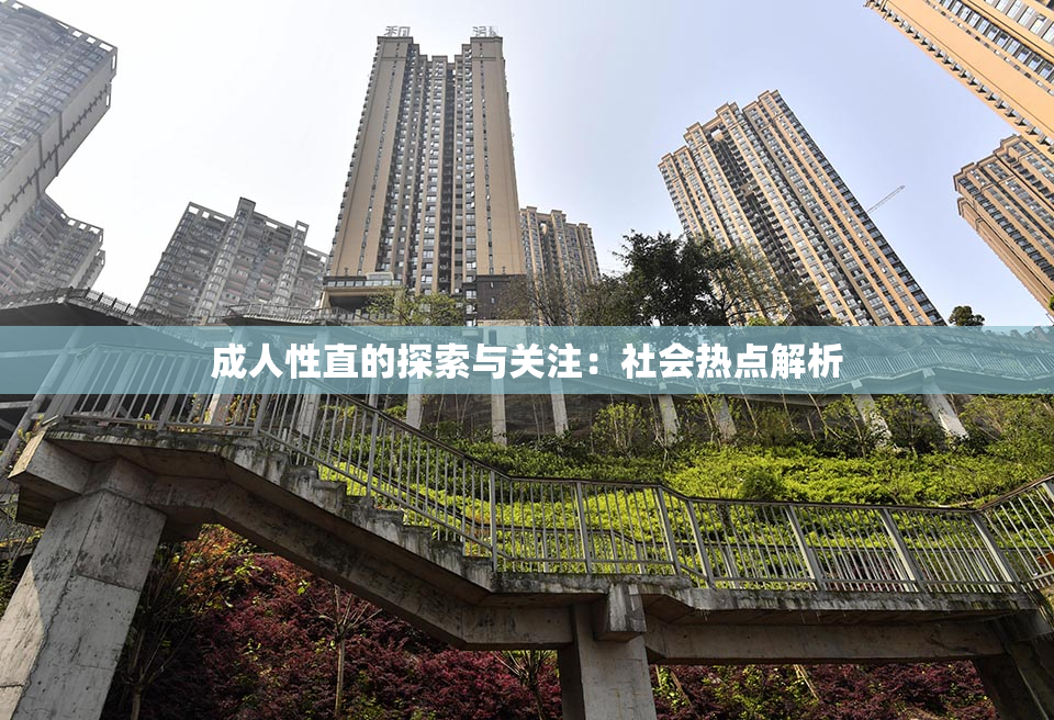 成人性直的探索与关注：社会热点解析
