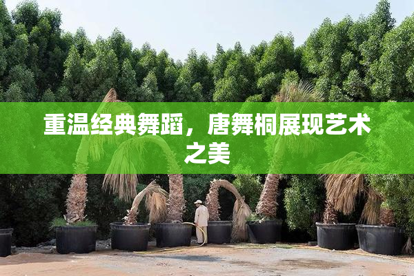重温经典舞蹈，唐舞桐展现艺术之美