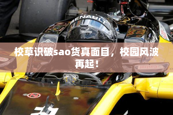 校草识破sao货真面目，校园风波再起！
