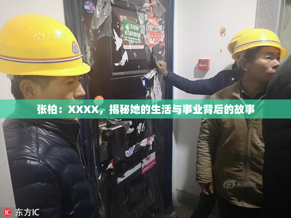 张柏：XXXX，揭秘她的生活与事业背后的故事