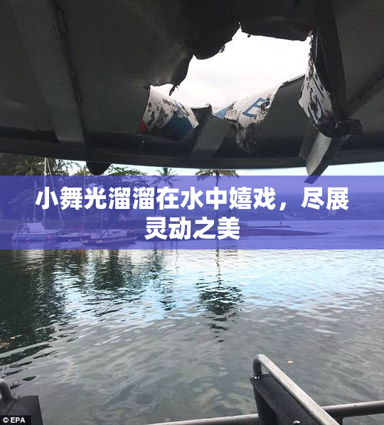 小舞光溜溜在水中嬉戏，尽展灵动之美