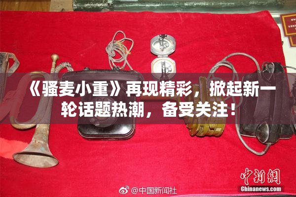 《骚麦小重》再现精彩，掀起新一轮话题热潮，备受关注！