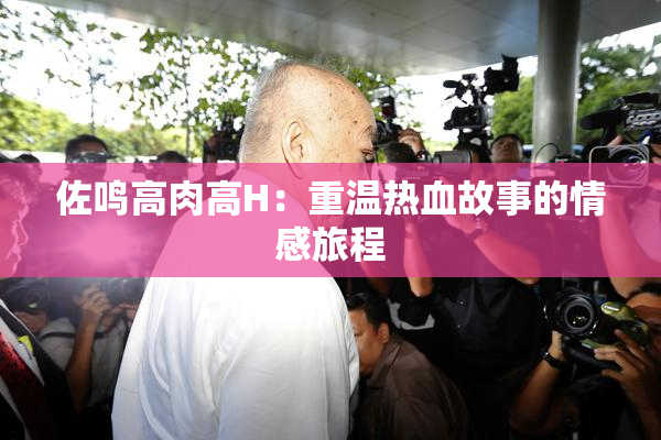 佐鸣高肉高H：重温热血故事的情感旅程