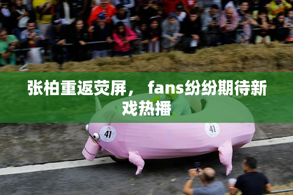 张柏重返荧屏， fans纷纷期待新戏热播