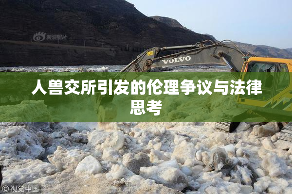 人兽交所引发的伦理争议与法律思考