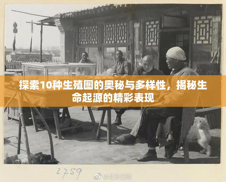 探索10种生殖图的奥秘与多样性，揭秘生命起源的精彩表现