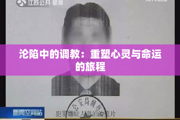 沦陷中的调教：重塑心灵与命运的旅程