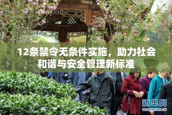 12条禁令无条件实施，助力社会和谐与安全管理新标准