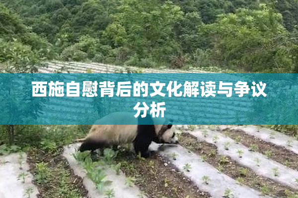西施自慰背后的文化解读与争议分析