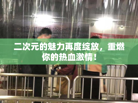 二次元的魅力再度绽放，重燃你的热血激情！