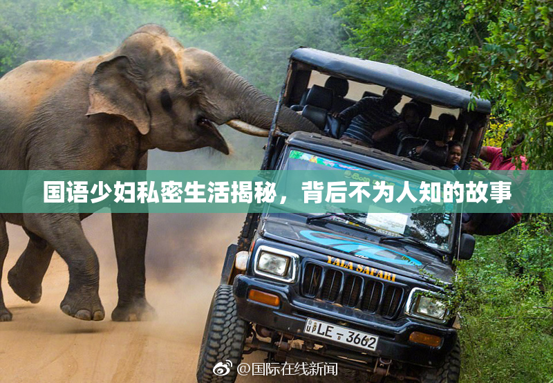 国语少妇私密生活揭秘，背后不为人知的故事
