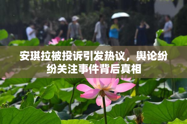 安琪拉被投诉引发热议，舆论纷纷关注事件背后真相