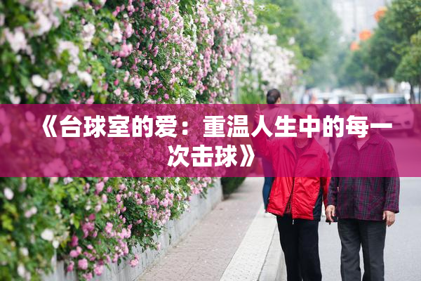 《台球室的爱：重温人生中的每一次击球》