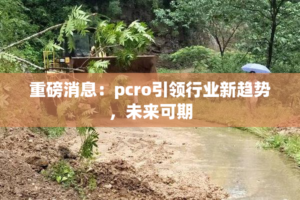 重磅消息：pcro引领行业新趋势，未来可期