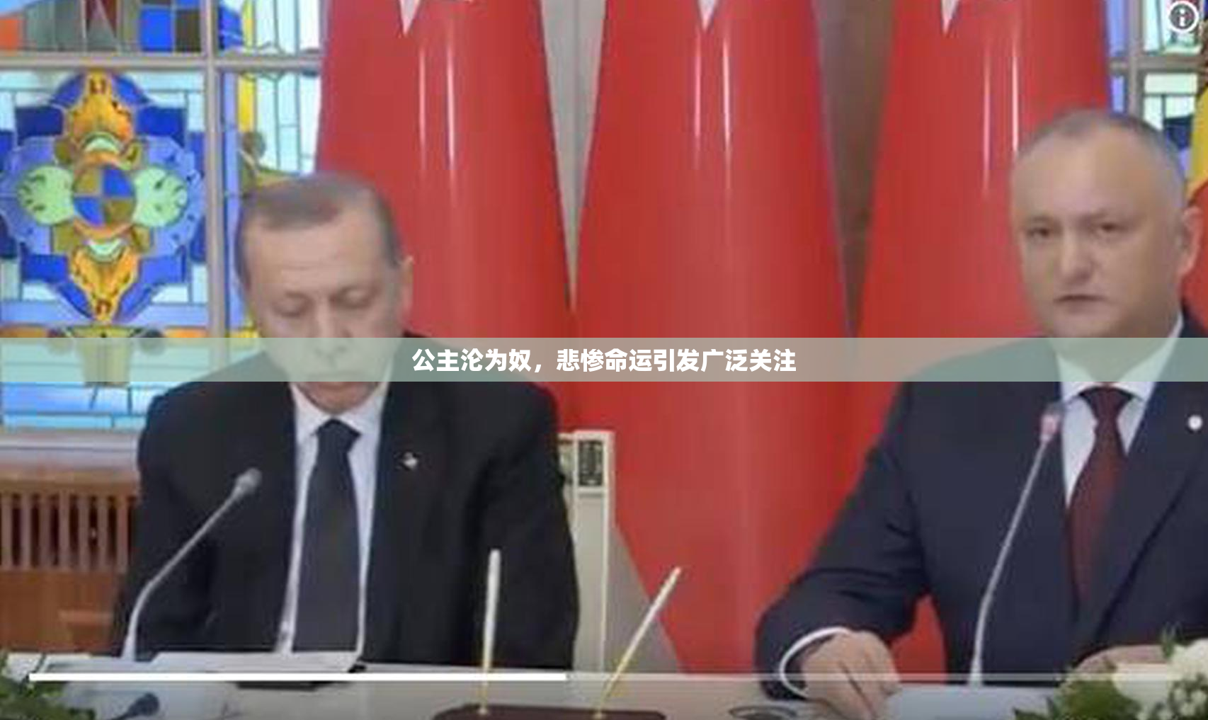 公主沦为奴，悲惨命运引发广泛关注