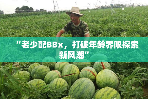 “老少配BBx，打破年龄界限探索新风潮”