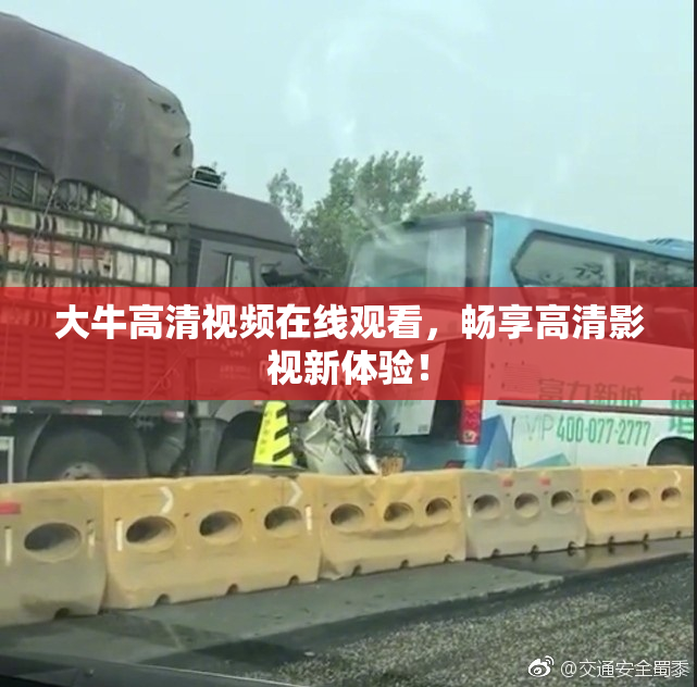 大牛高清视频在线观看，畅享高清影视新体验！