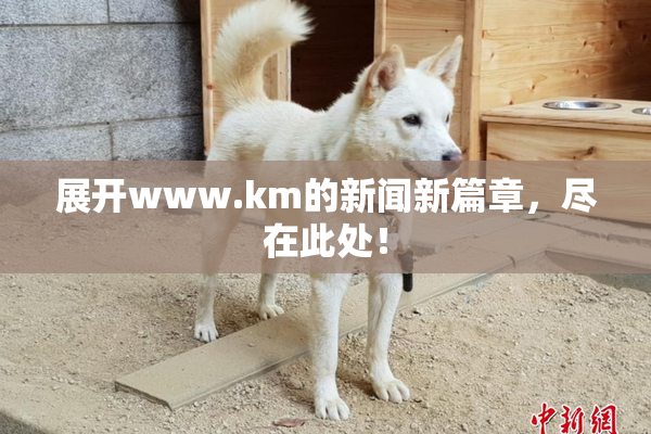 展开www.km的新闻新篇章，尽在此处！
