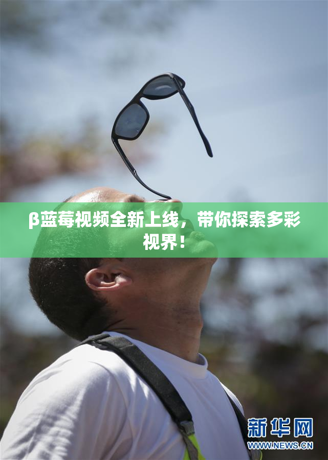 β蓝莓视频全新上线，带你探索多彩视界！