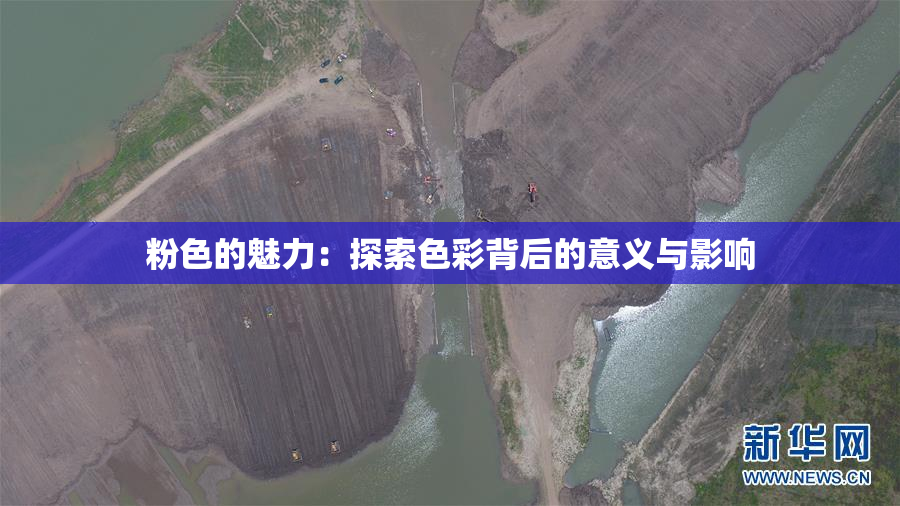 粉色的魅力：探索色彩背后的意义与影响