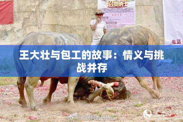王大壮与包工的故事：情义与挑战并存