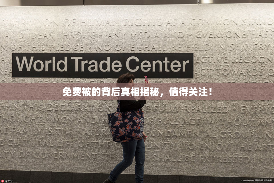 免费被的背后真相揭秘，值得关注！