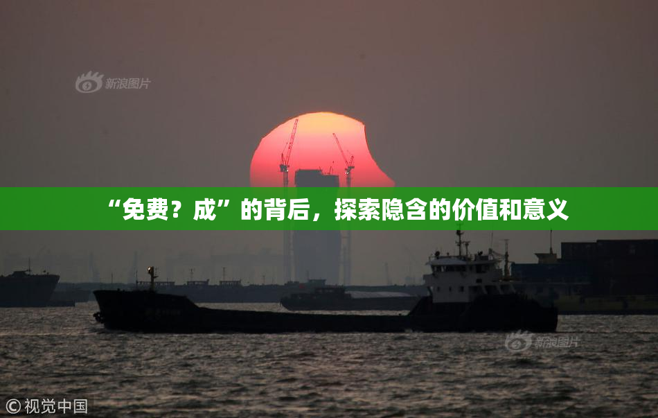 “免费？成”的背后，探索隐含的价值和意义