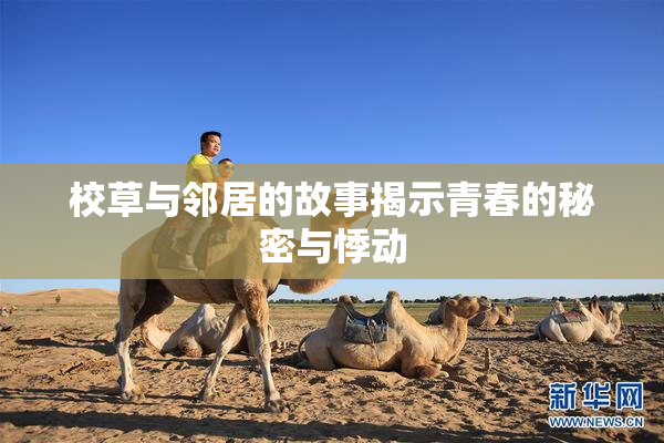 校草与邻居的故事揭示青春的秘密与悸动